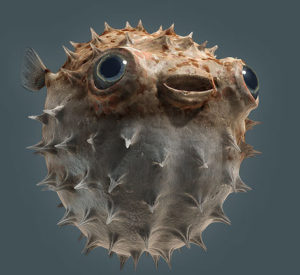 fugu - symbole d'openbsd